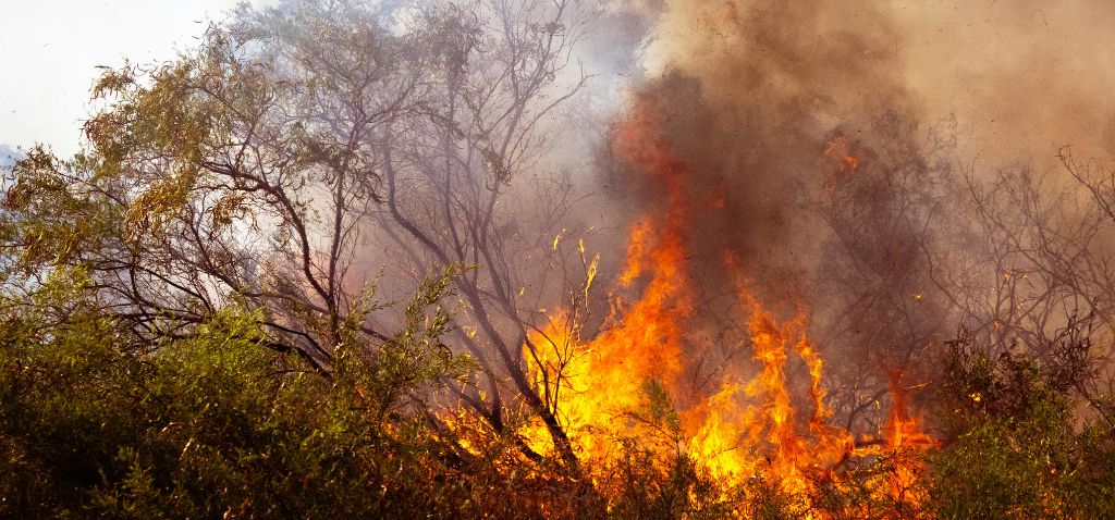DA to probe Eskom’s alleged role in wildfire outbreaks