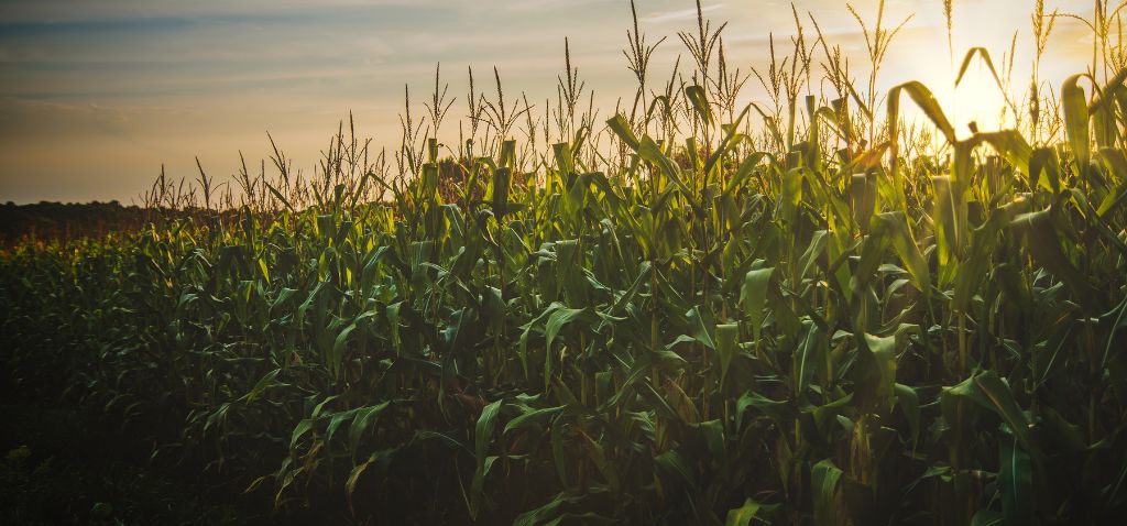 agri