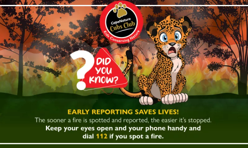 Public urged to stay alert this fire season: Prevent wildfires, save lives