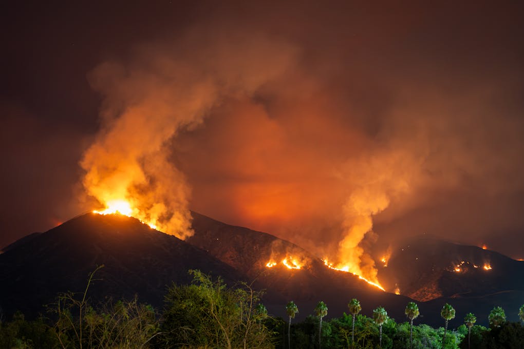 Fire Season Update – What to do if you encounter wildlife affected by fire
