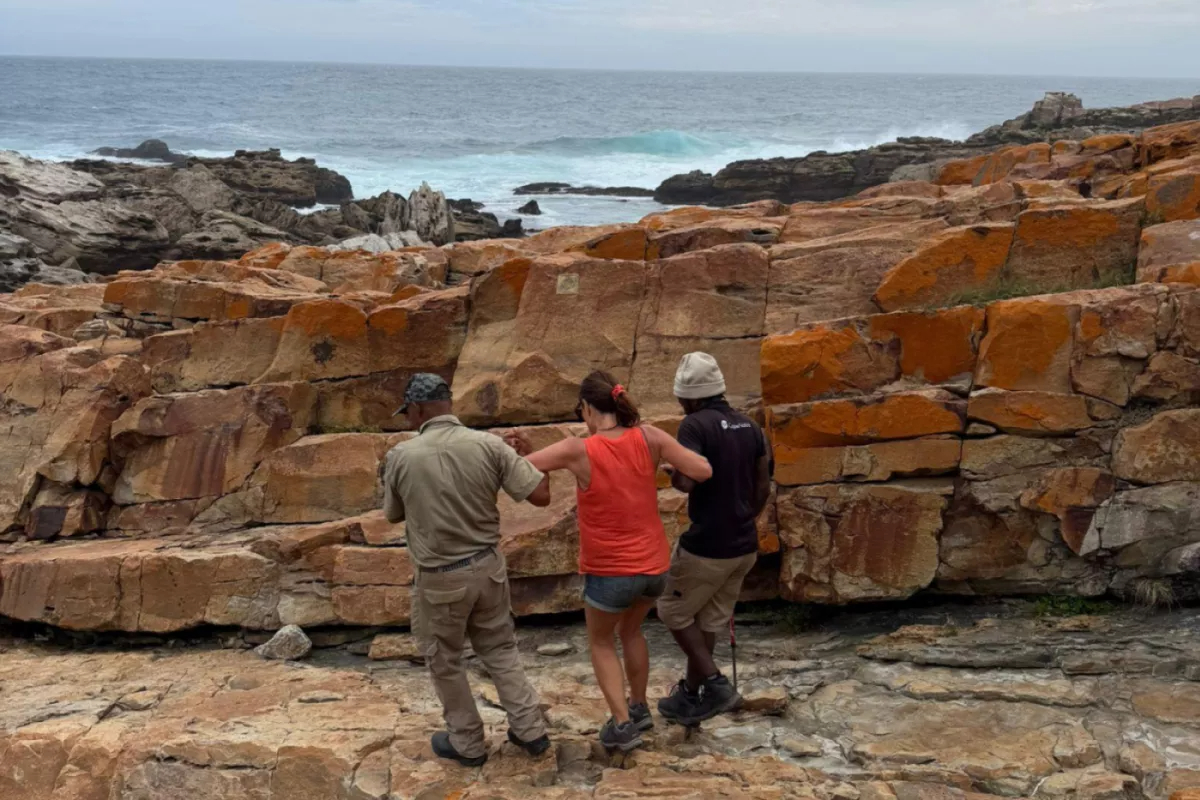 Ms Rosalind Innes being assisted by staff from Robberg Nature Reserve.