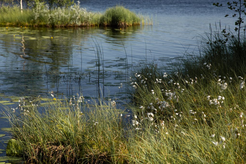 World Wetlands Day 2026