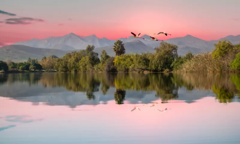 Water Week: Protecting Our Most Precious Resource