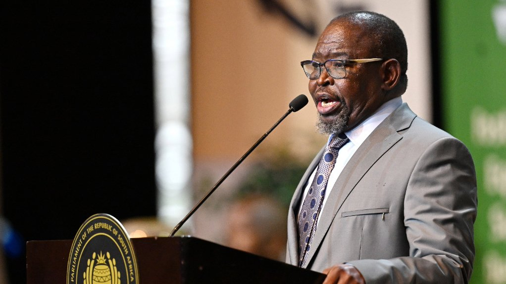 Godongwana: R3 fuel levy relief to cushion South Africans