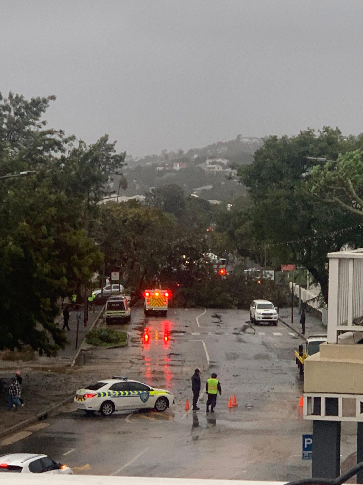Tree Falls on Car in Knysna, Killing 37-Year-Old Woman Amid Severe Storm
