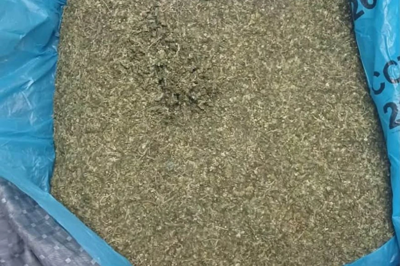 DAGGA