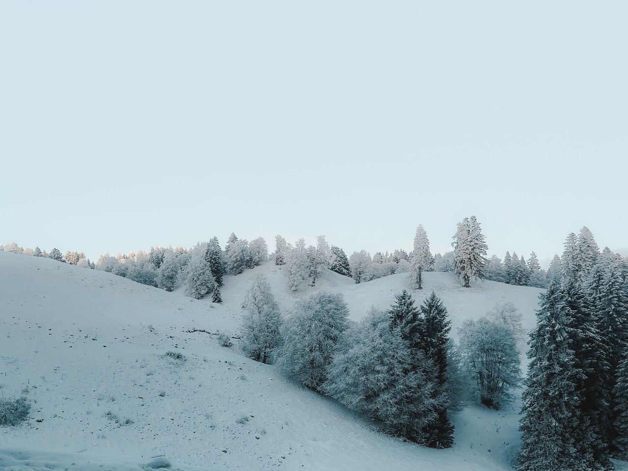 Snow